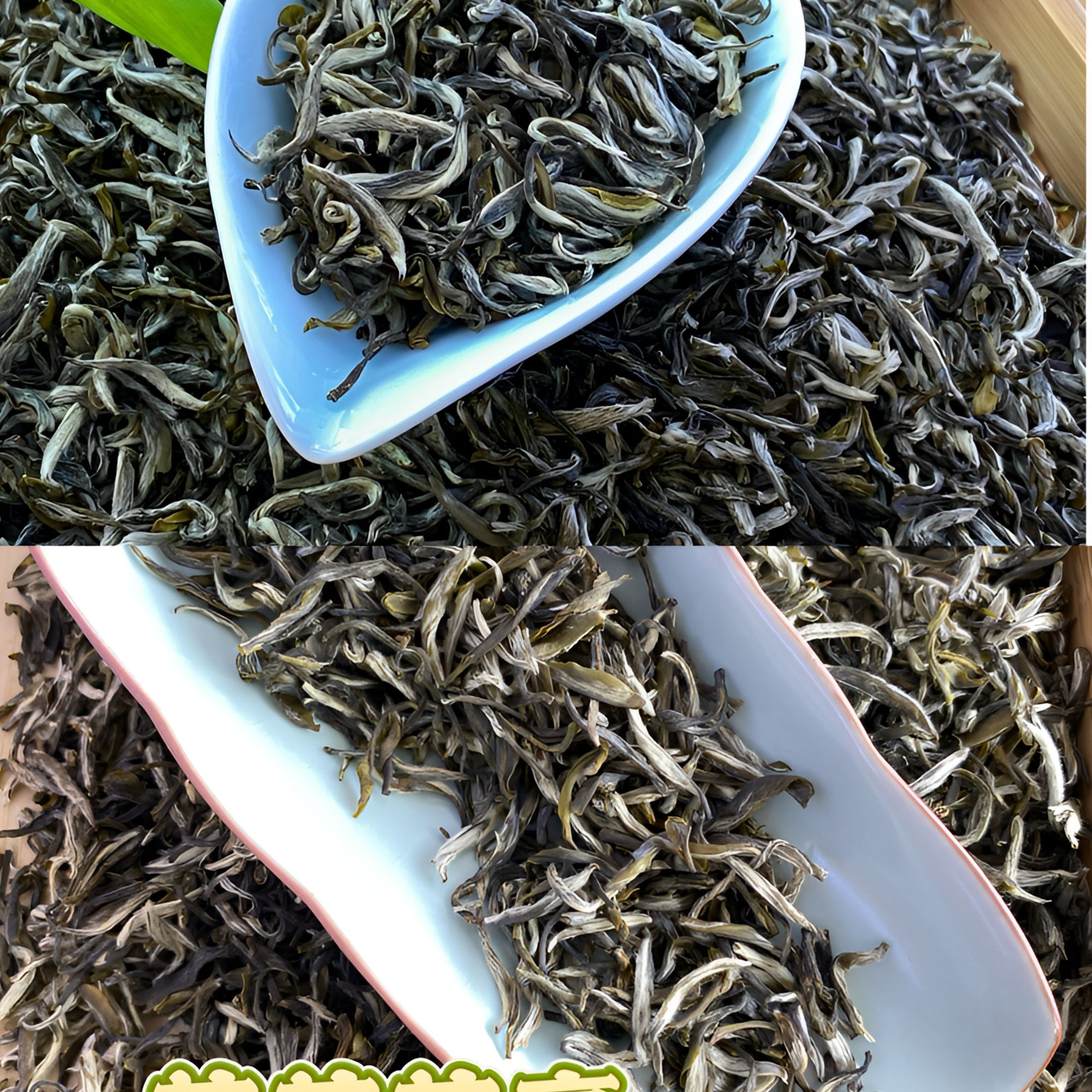 （大梦严选）传统福建小叶花茶50克白龙毫/50克茗毫组合装 经典款