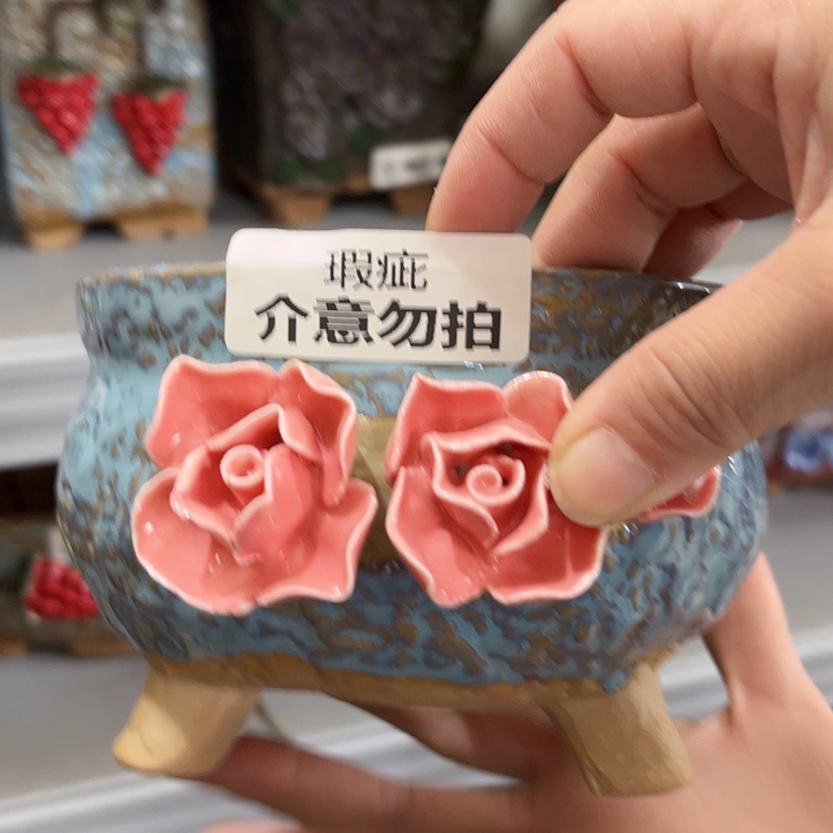 【闪购商品】红陶福利