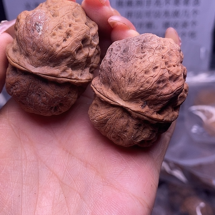 核桃云南野生铁核桃170号45mm