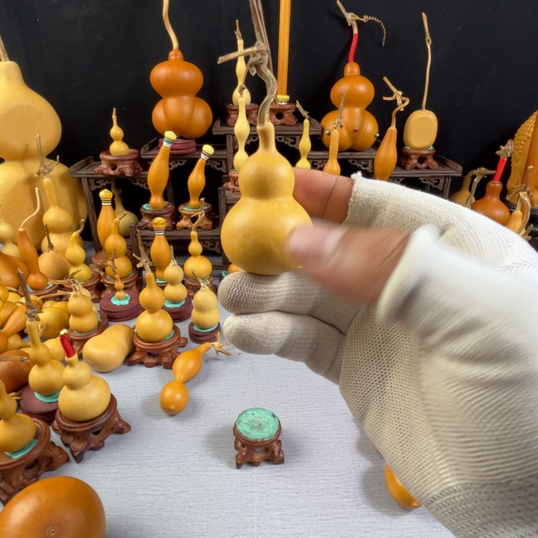 N***o藤木我的小可爱，一点也不像个女孩