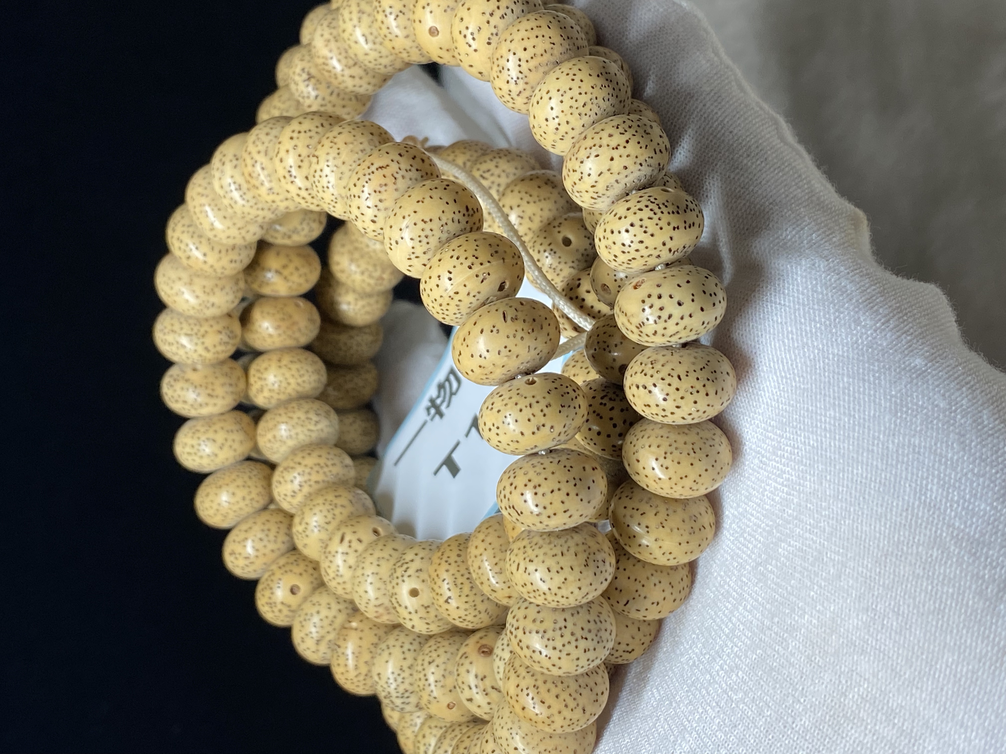 海南星月菩提9.13玄月大苹果2019年陈籽T16