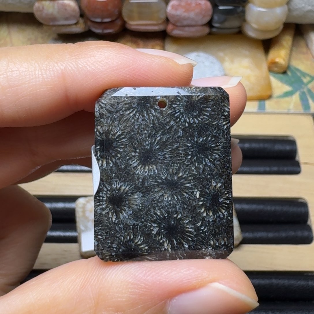 硅化玉绿黑骨骼花，有瑕30未镶嵌小*