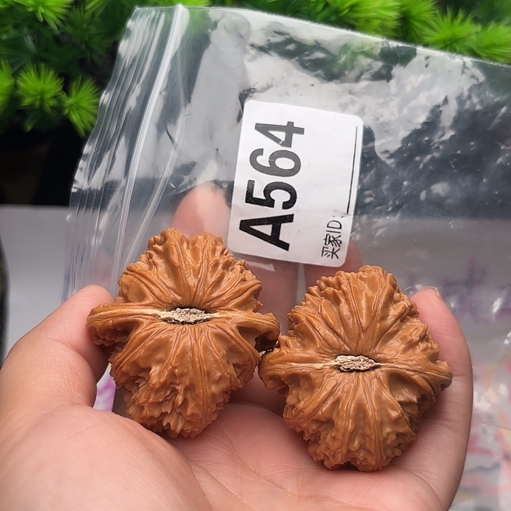 桃核把件核桃白狮子43
