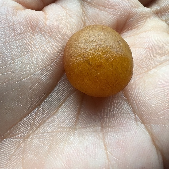 未镶嵌琥珀珠宝奇石海漂原石
