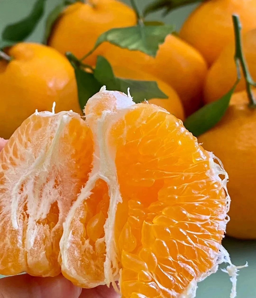 四川正宗耙耙柑现摘现发应季新鲜水果