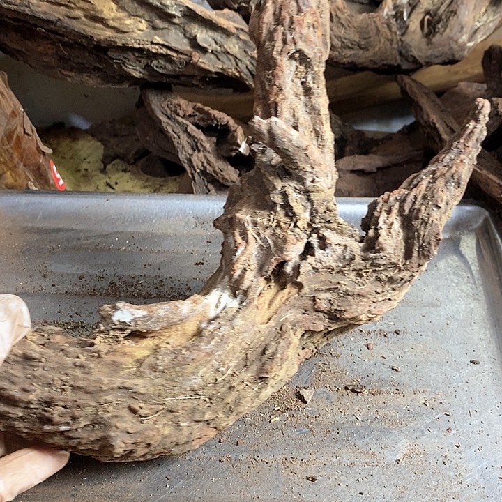 黄花梨/降香黄檀佛*