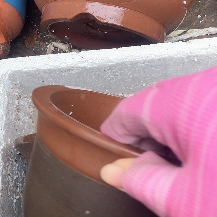 紫砂哈哈哈哈哈哈a1