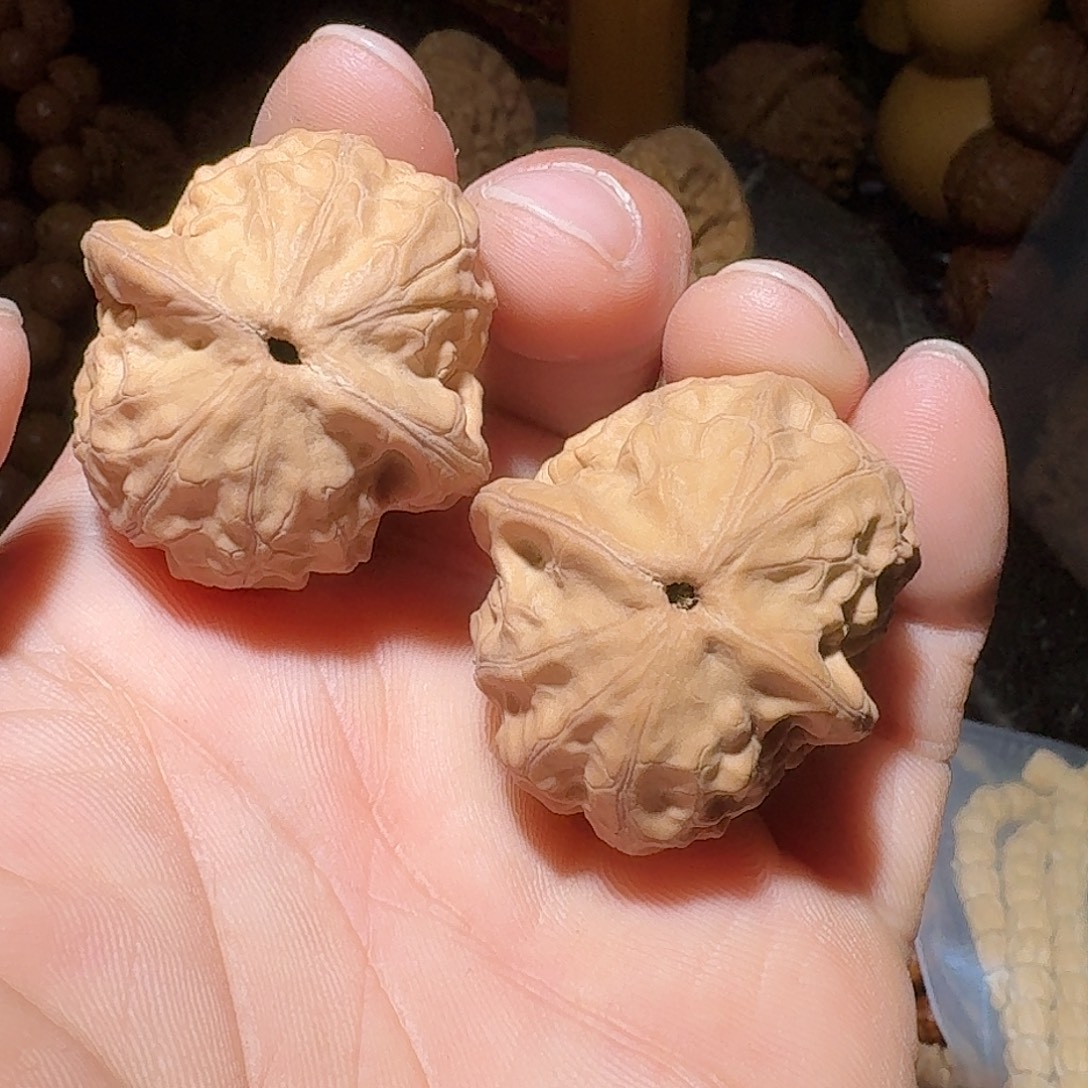 核桃别写名字了1111111