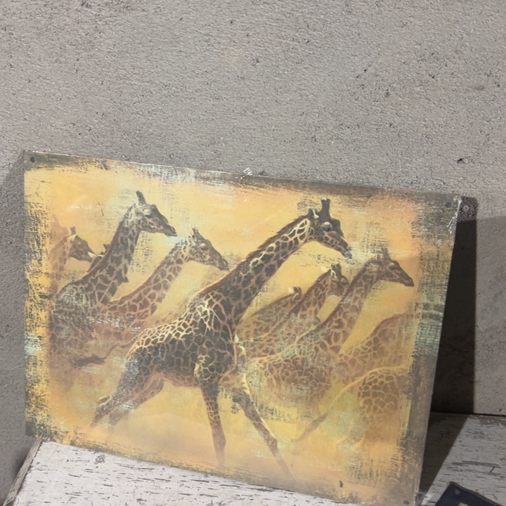 铁艺 外贸孤品 默认瑕疵