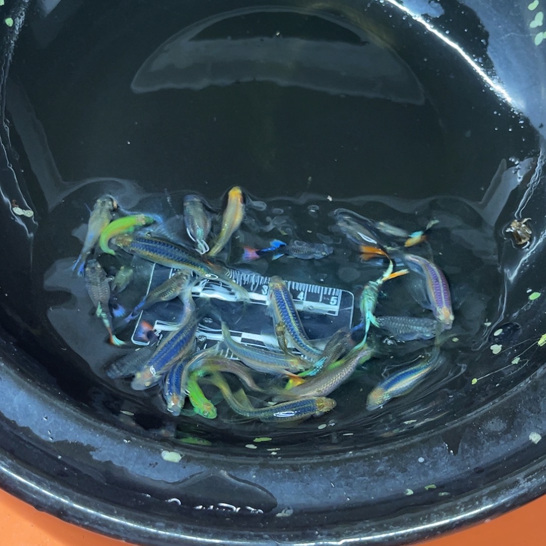 海水2号哈哈哈哈哈哈
