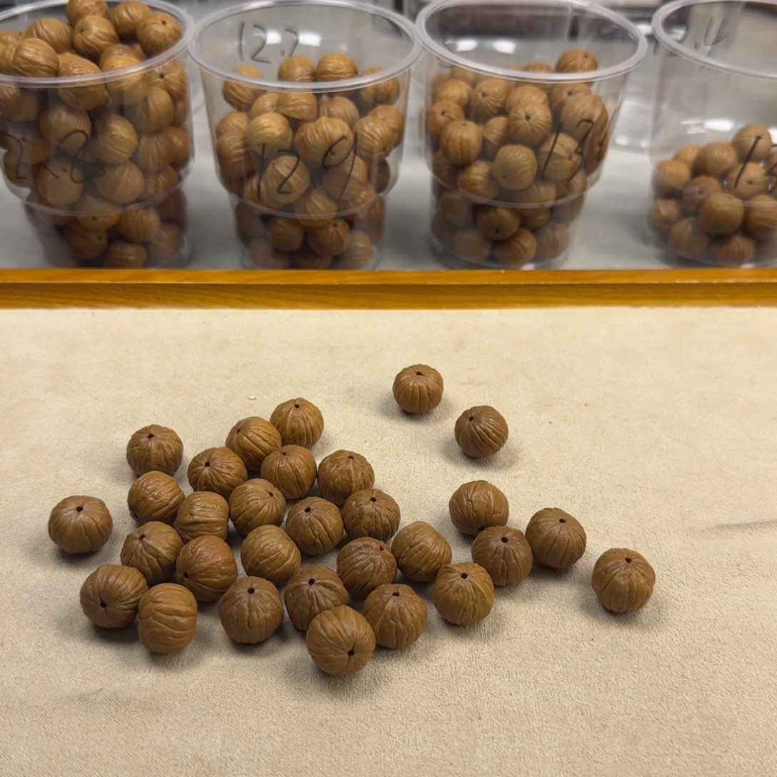 14.5三围同尺南瓜