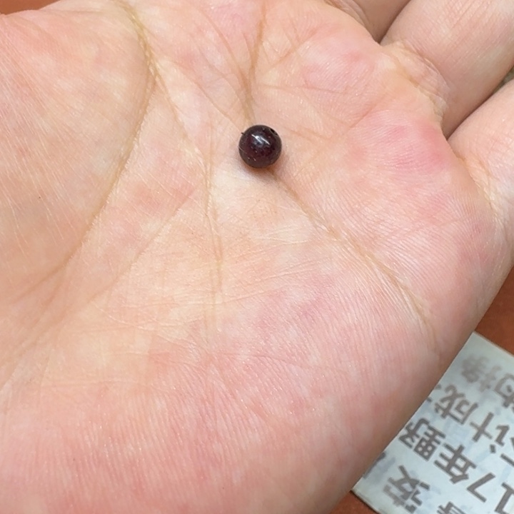 大叶紫檀（黑酸枝木类）