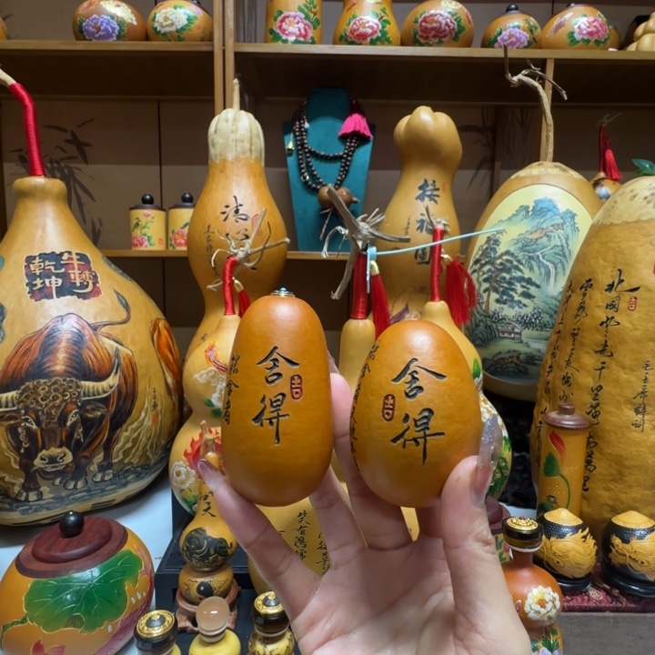 A***龙111111111111111111