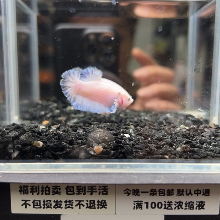 斗鱼跑单拉黑4日82