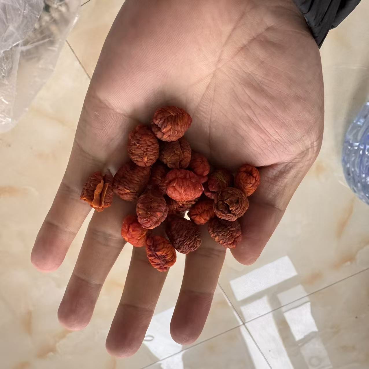 云南优选好物--龙鳞果参 