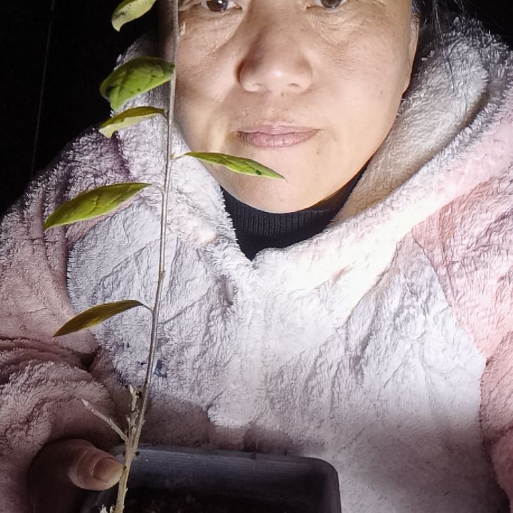 用***姬无花朵1256336889989