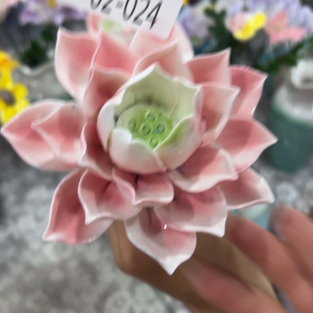 瑕疵224 满20元发货，退款拉黑