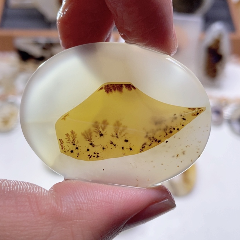 【闪购商品】玛瑙/玉髓颈饰未镶嵌