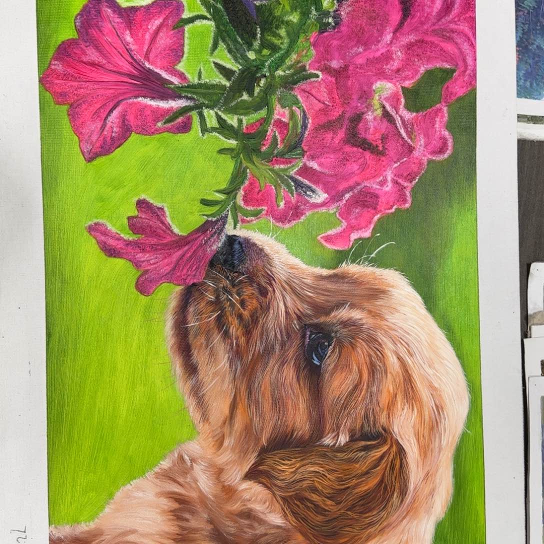 油画优惠活动开始啦，优惠