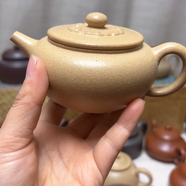 紫砂茶壶大水潭本山绿泥孤品福利半手工