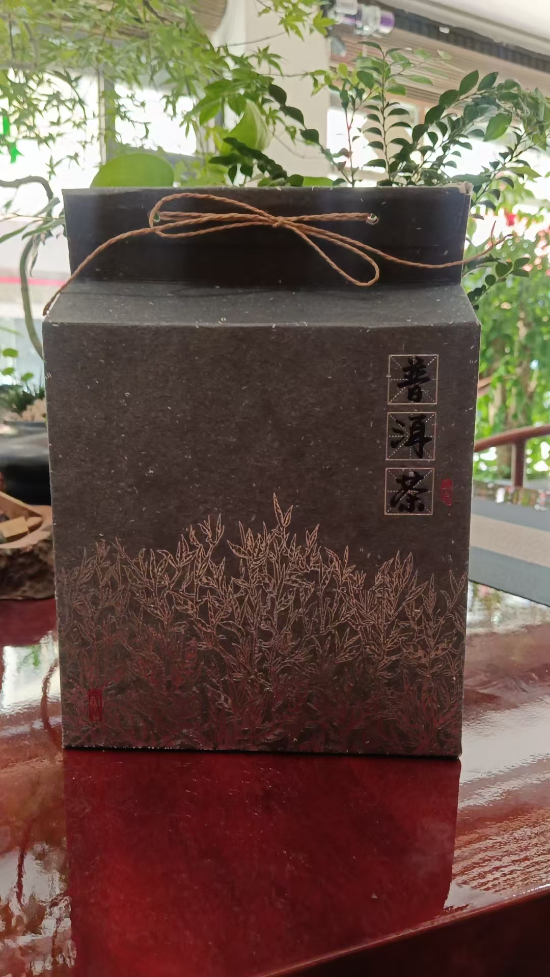 云南大雪山古树生茶