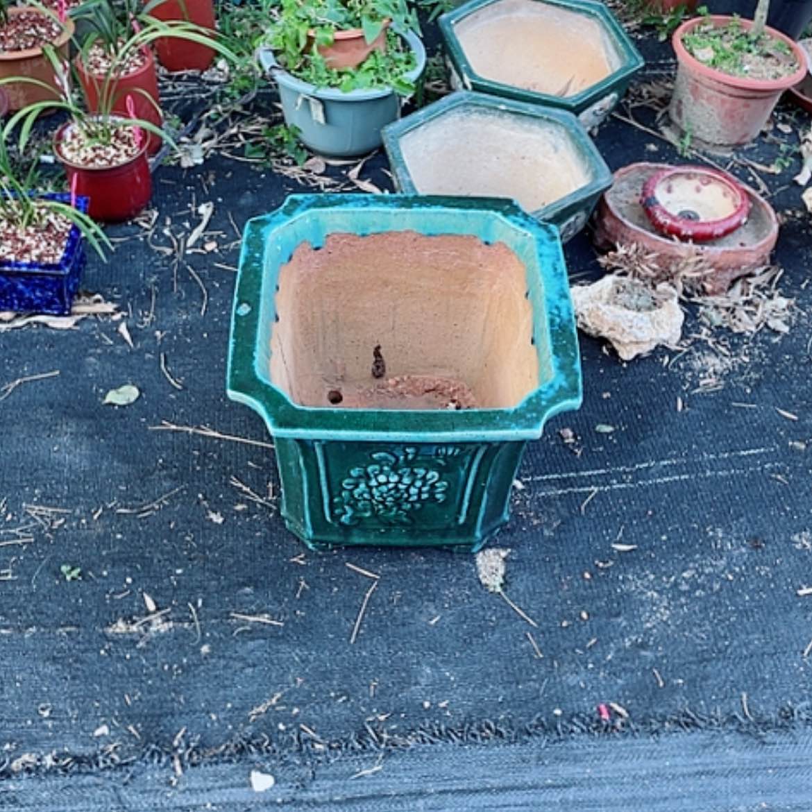 【闪购商品】李*求中国风柴烧花盆