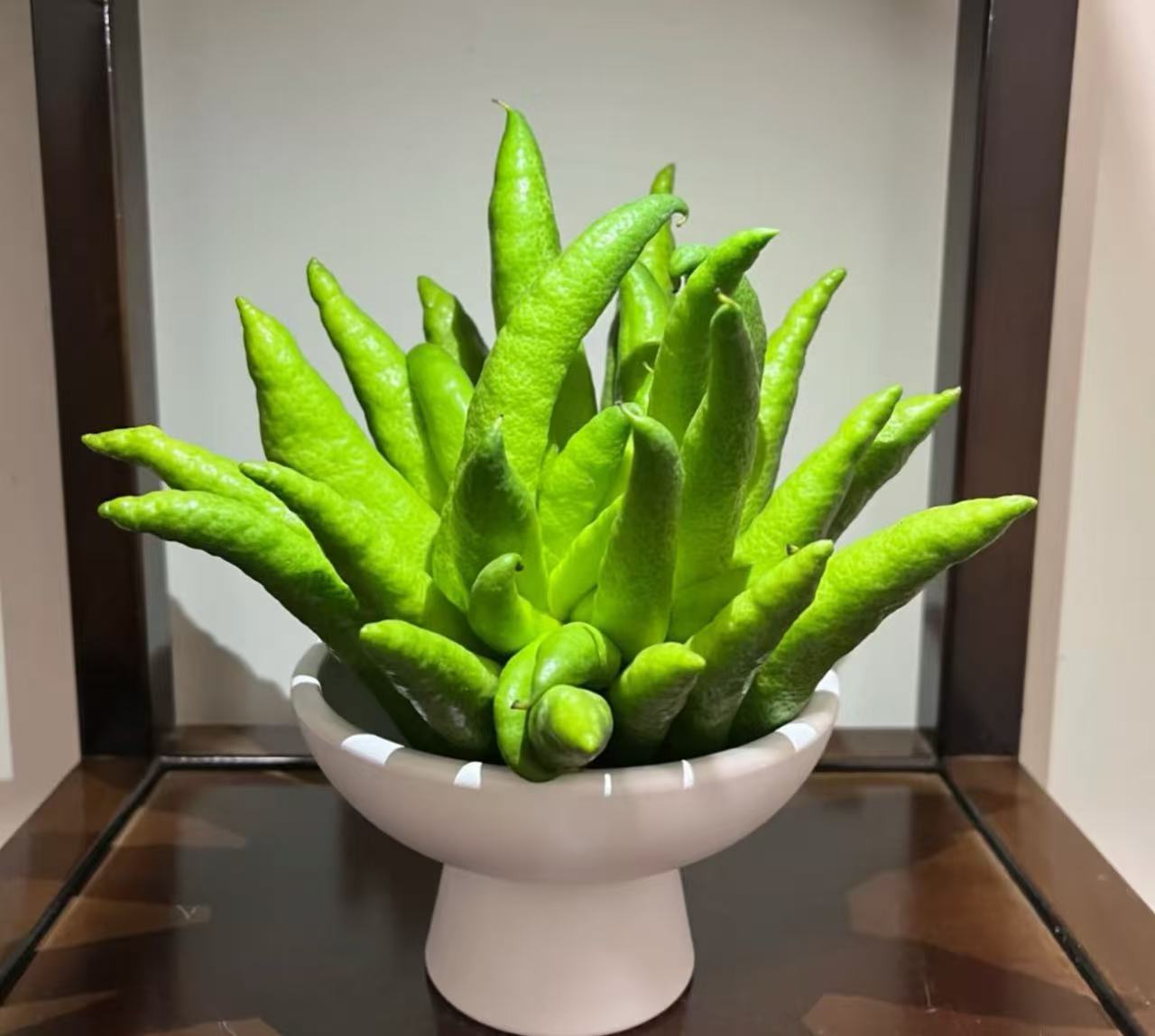 【新人福利】新鲜佛手柑干养干放观赏食用有天然清香