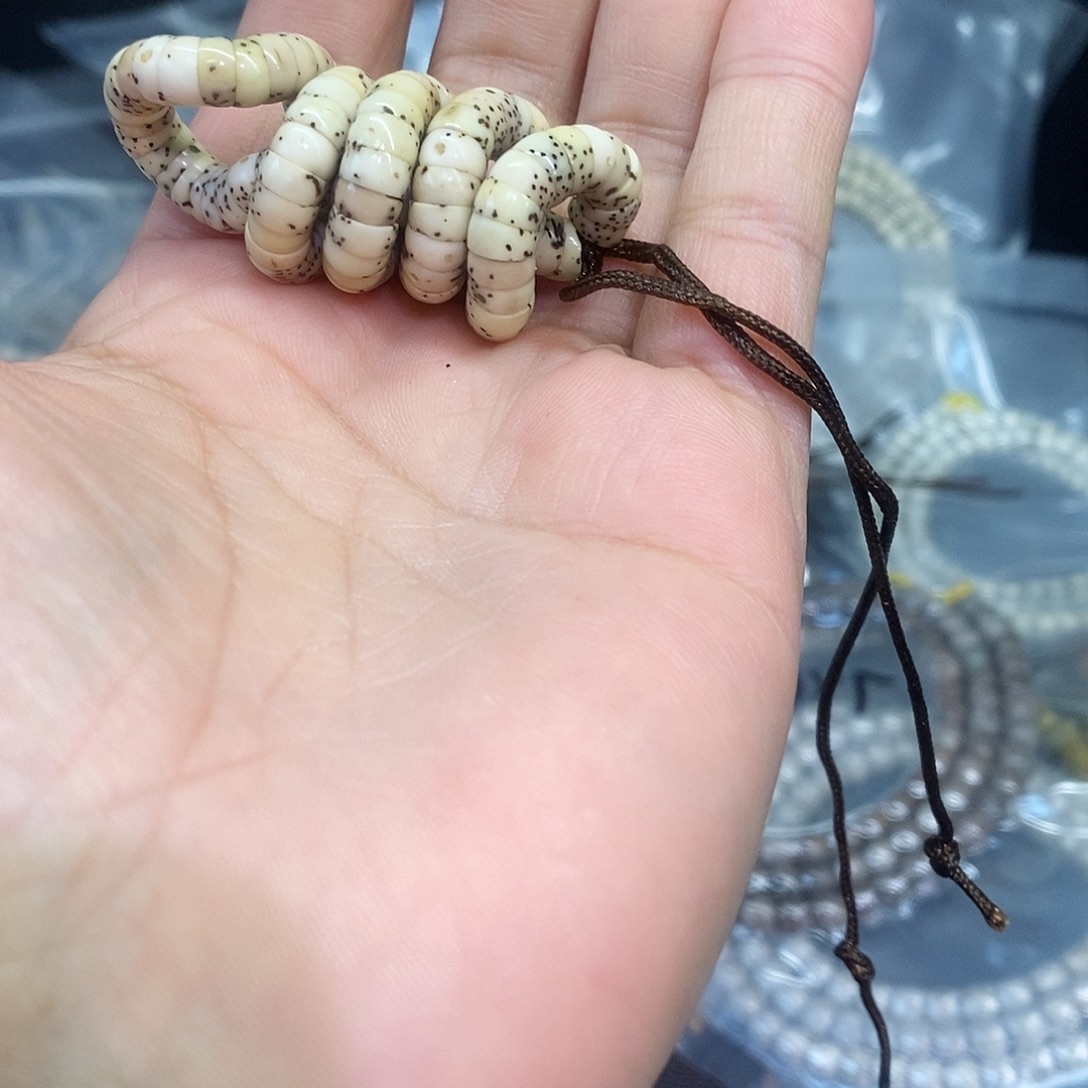 星月菩提手串6大肠留白