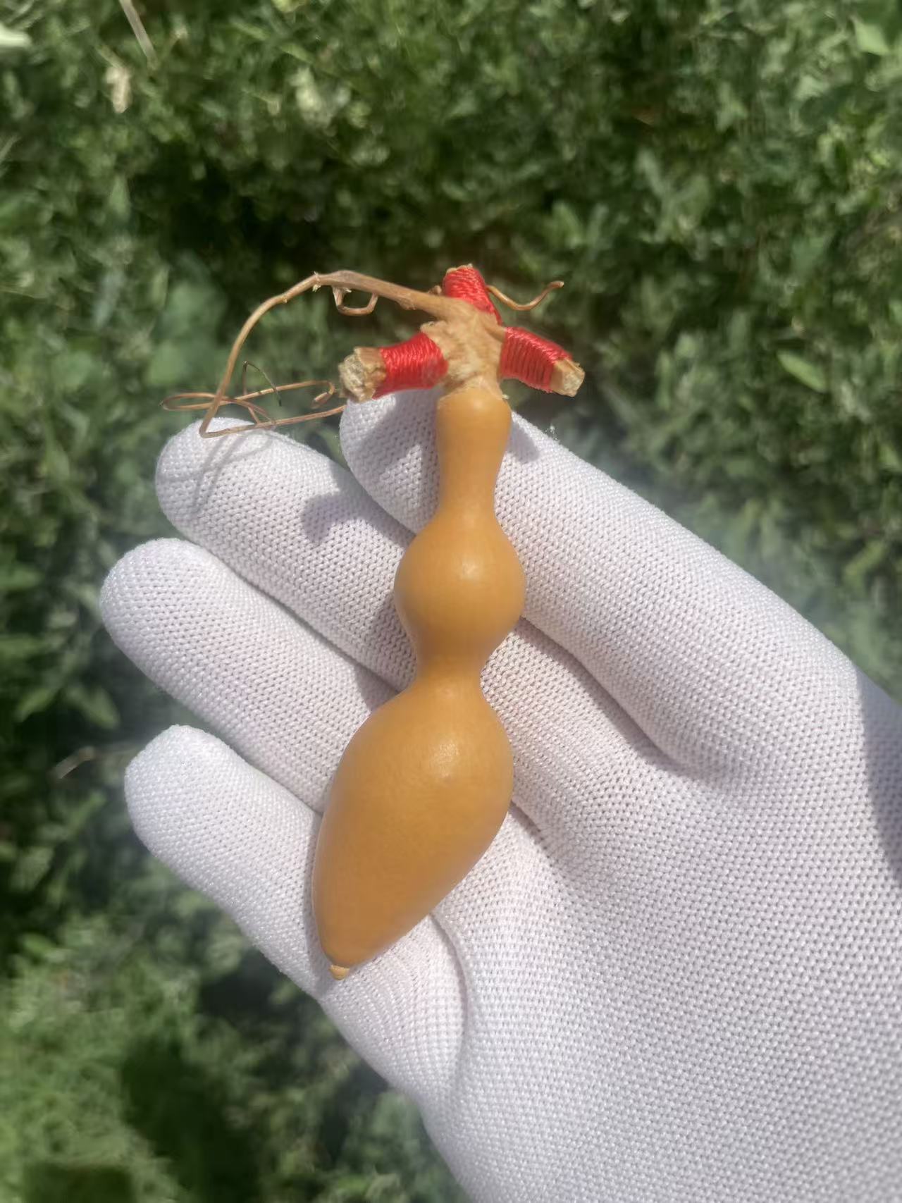 葫芦直播间选购一物一拍