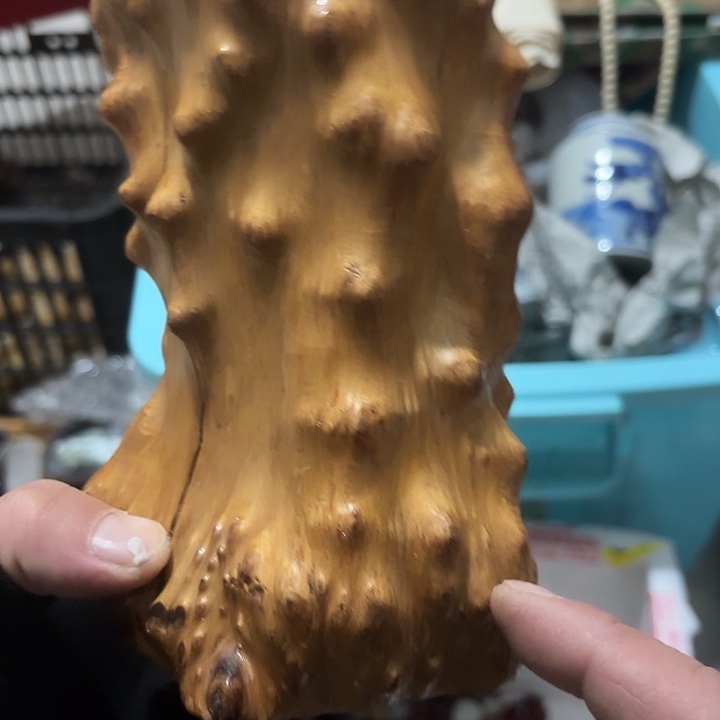 月***胧杂色豆（科檀/科特迪瓦檀木）