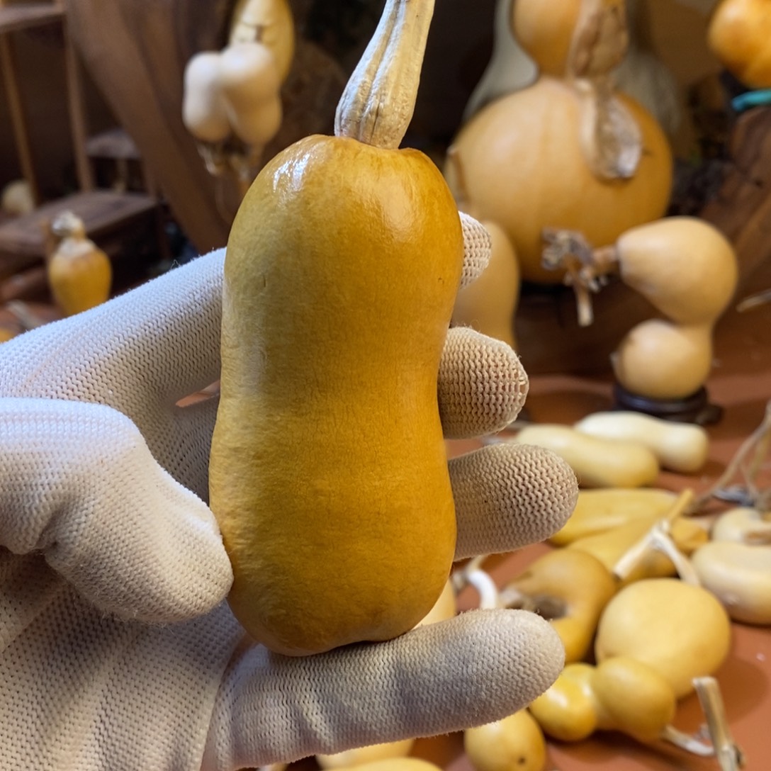 H****教练教练教练教练啦