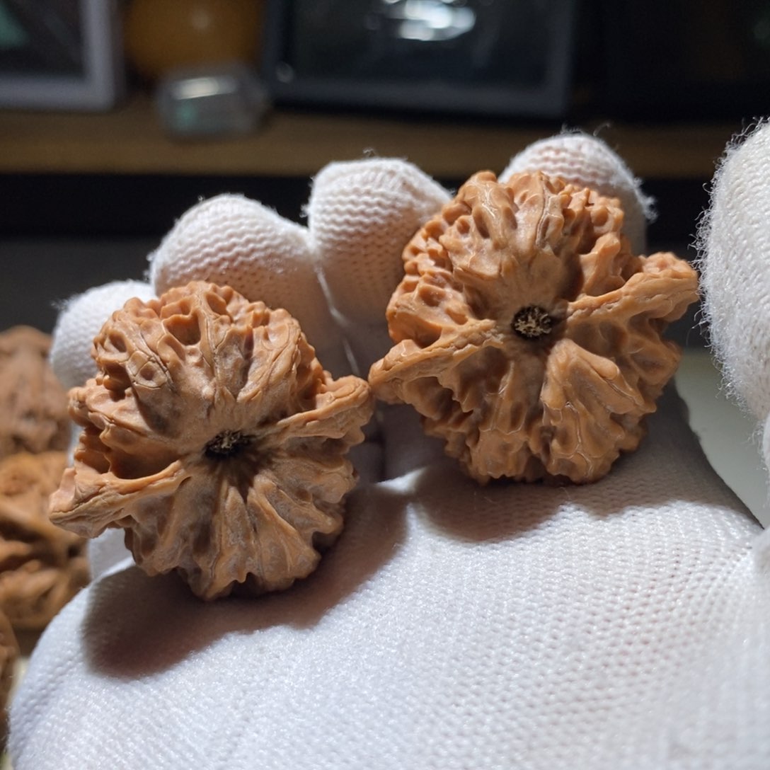 文玩核桃把件一*李苹果园37