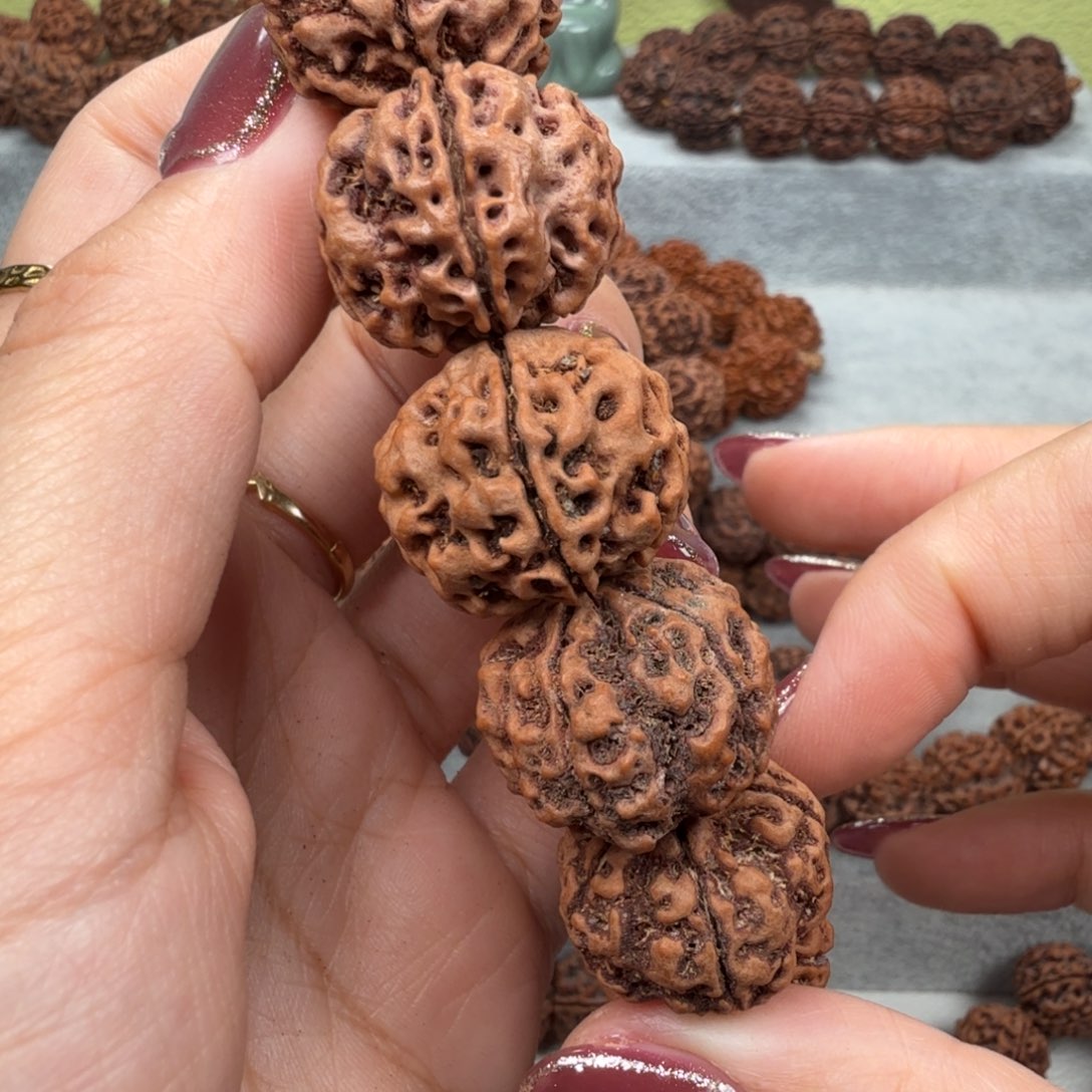 手串金刚菩提古龙粗筋梅花新人福利