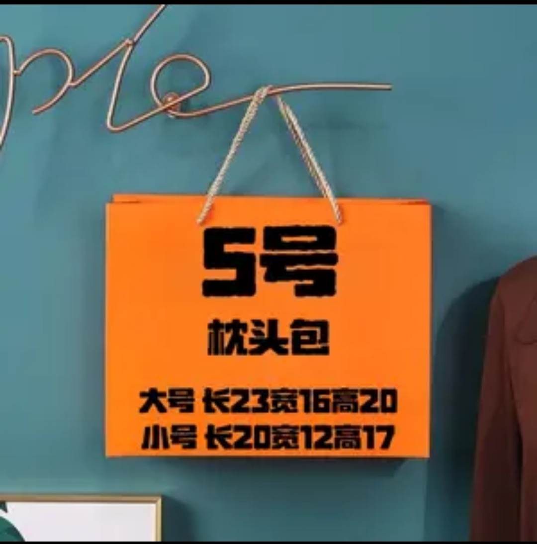 【A5号】AA2025新款轻奢百搭洋气枕头包 A6507-12