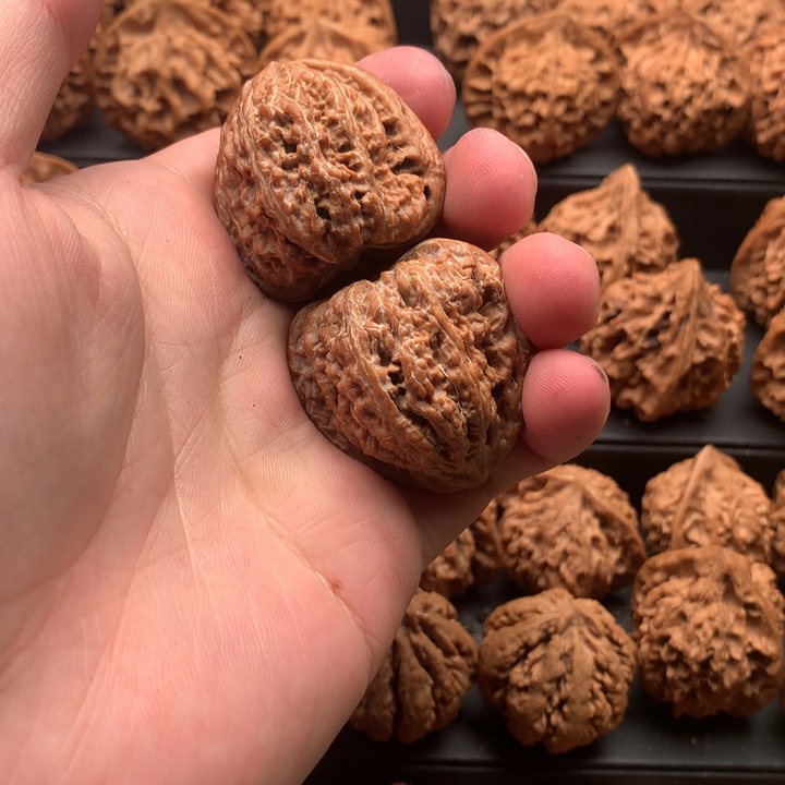 其他核桃唯**行秦岭野鸡