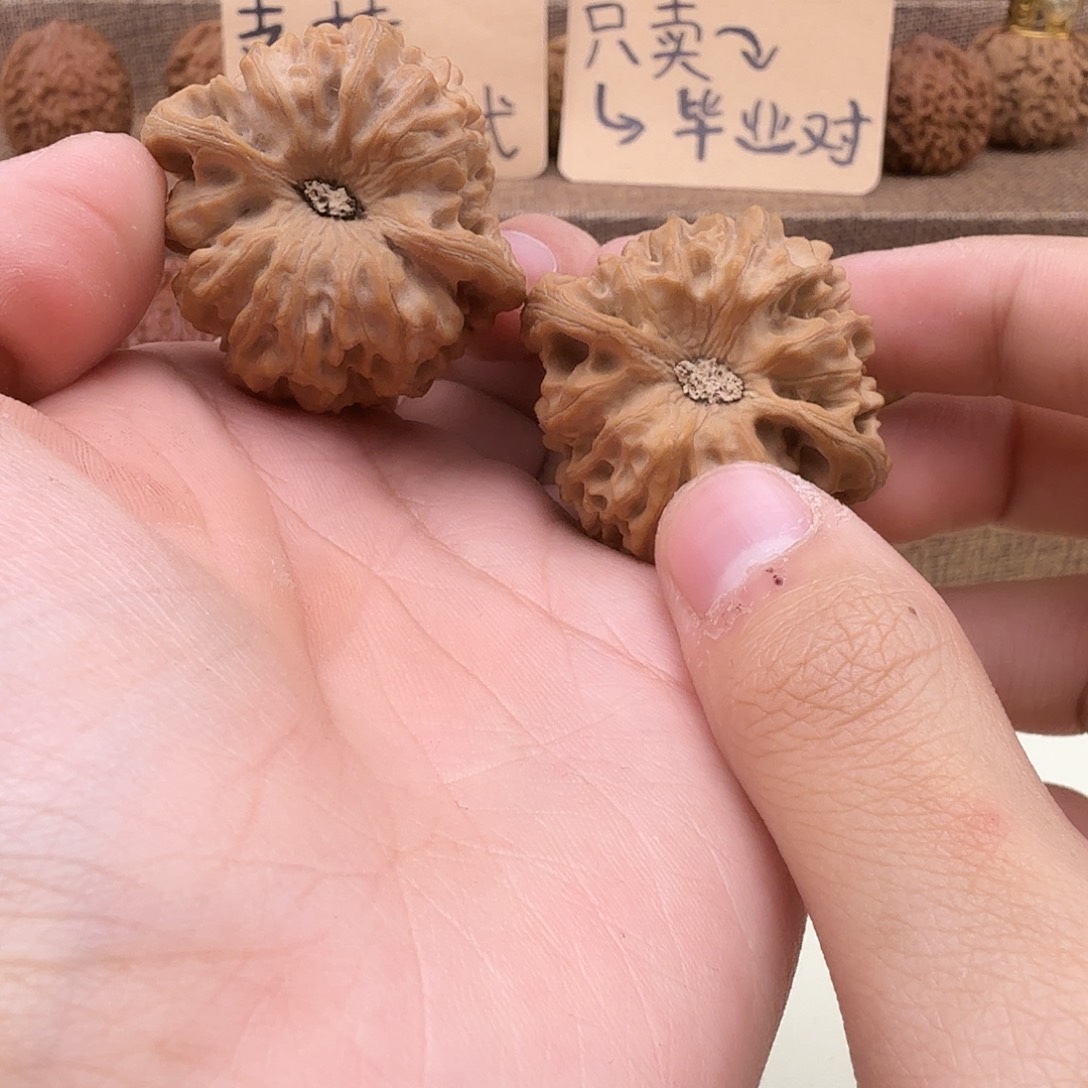 全品龙门涧38/37/38