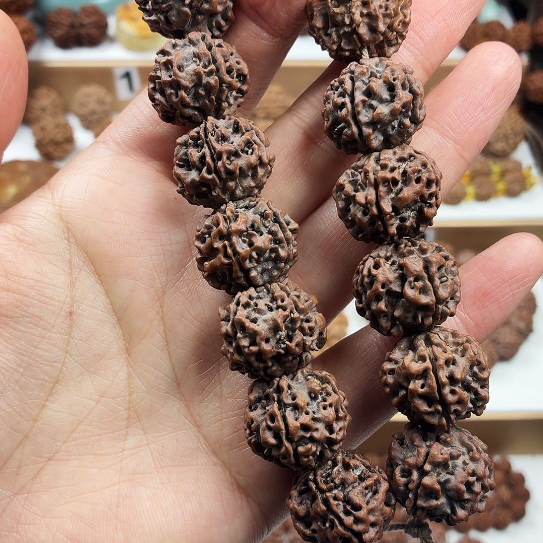 金刚菩提手串稀有精品老梅花