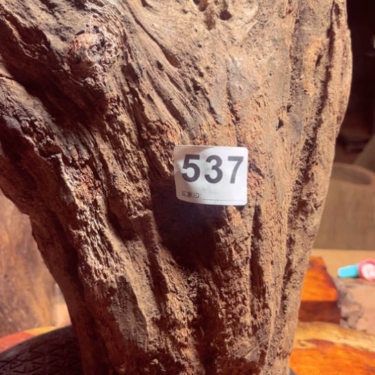 大果紫檀（缅甸花梨）