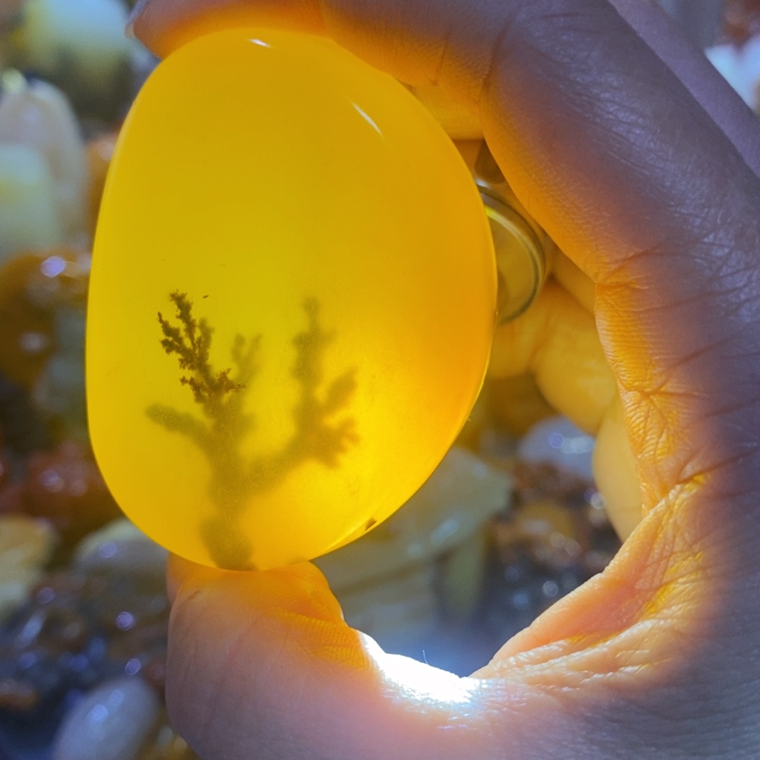 石英质玉（黄龙玉）颈饰未镶嵌