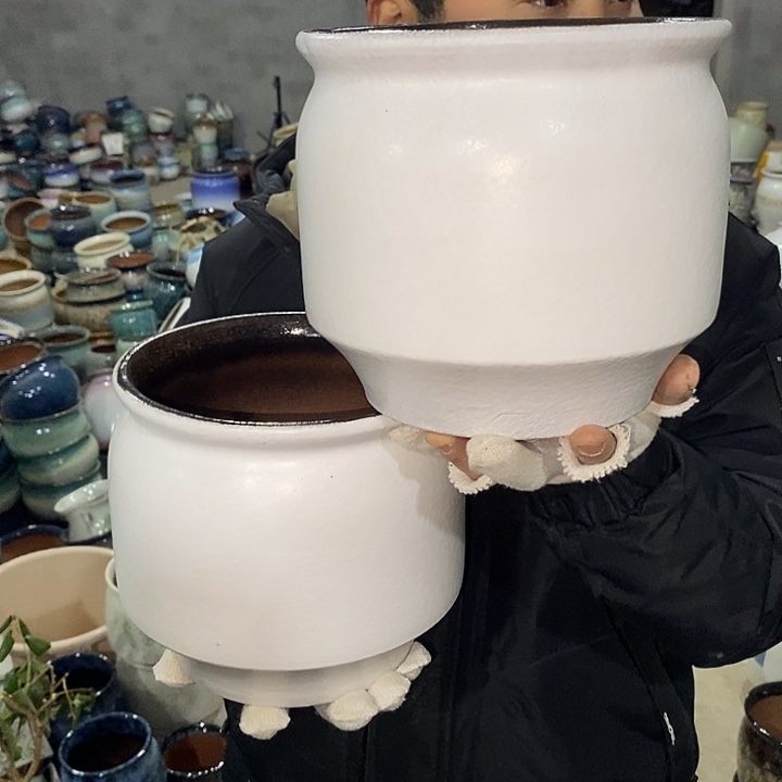 红陶高度19口19啦啦啦啦啦