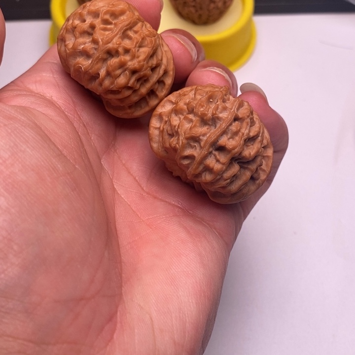 慕****苹果园狮子头40尺寸