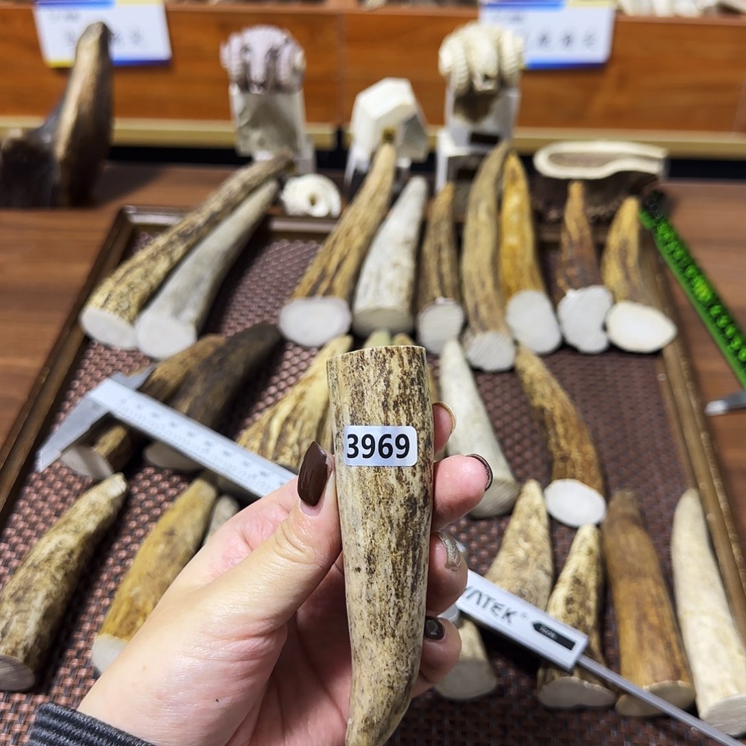 手串/手链鹿骨3969尖