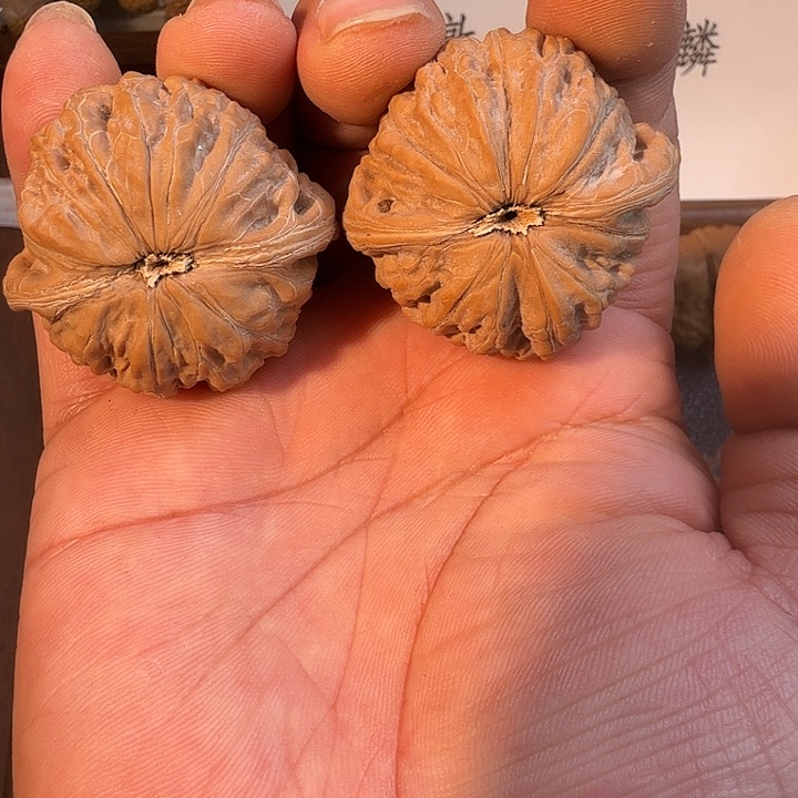 核桃40尺全品铁锤核桃