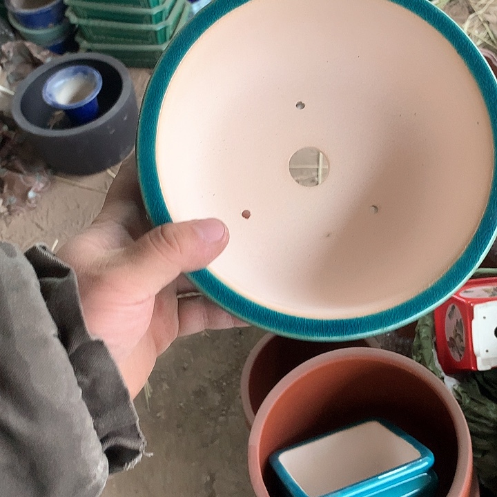 紫砂淘宝优惠券起单曲