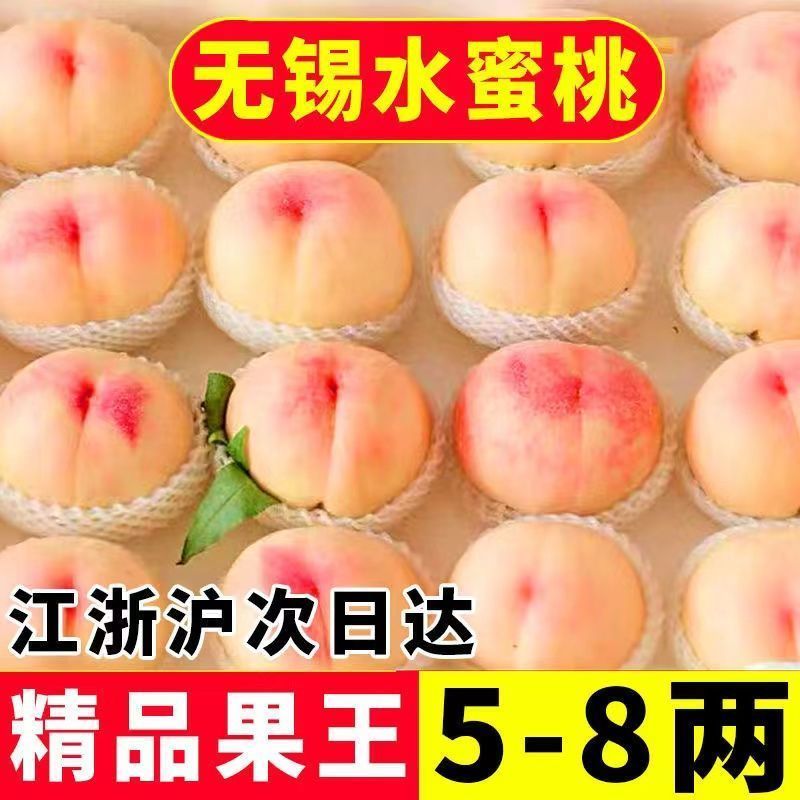正宗无锡白凤湖景水蜜桃夏日尝鲜新鲜应季水果香甜爆汁皮薄肉厚软