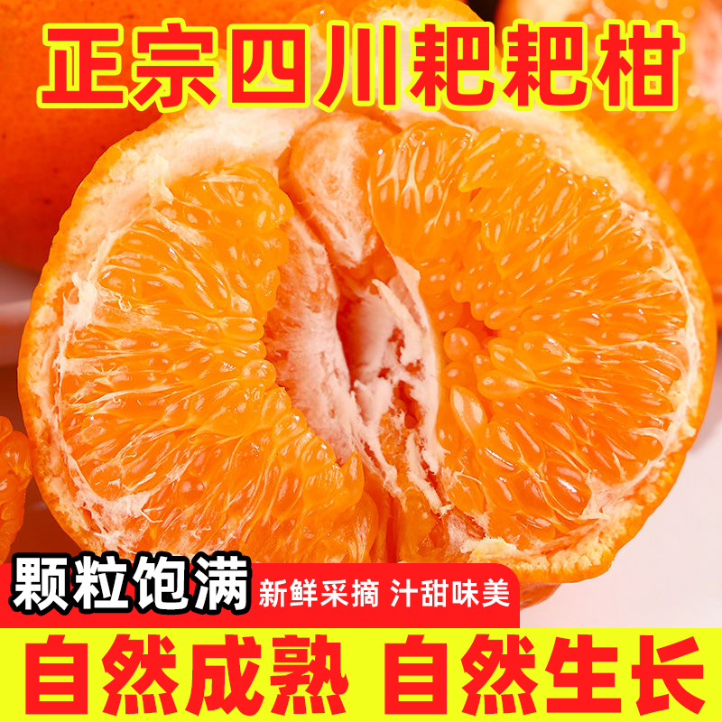 正宗四川春见耙耙柑耙耙柑水果新鲜当季现摘整箱精选包邮 S1