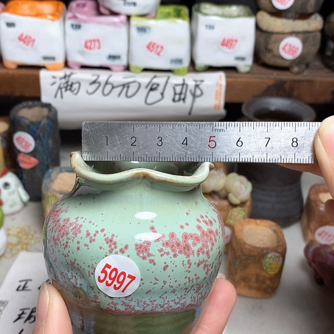 红陶拍5送一个小