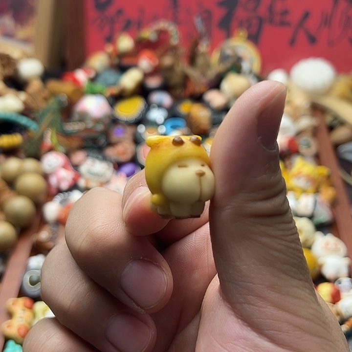 非金属象牙果狗子