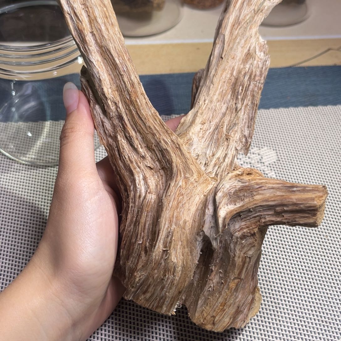沉香越南都彭香142克重福利