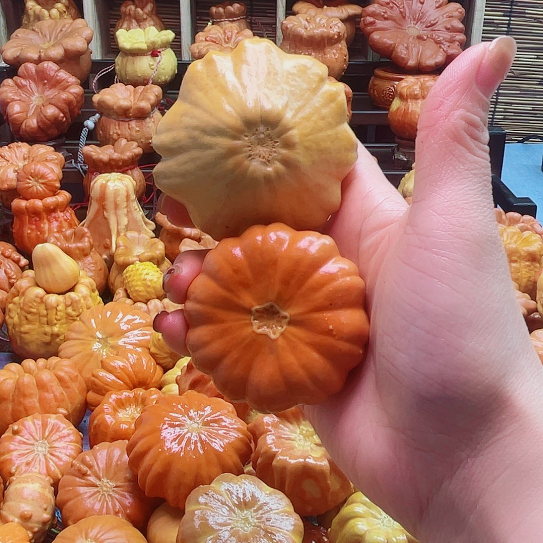 *****大叶紫檀（黑酸枝木类）